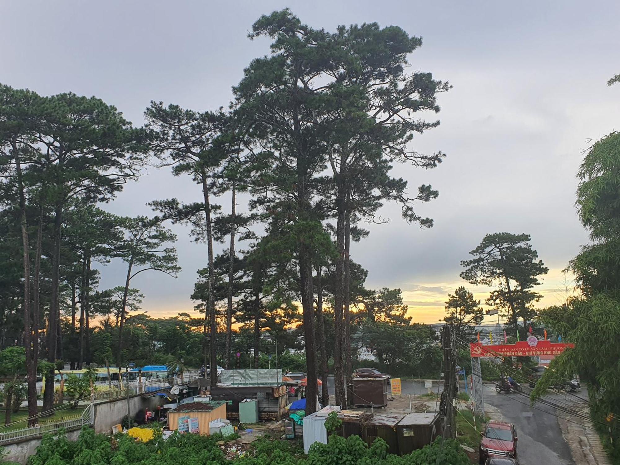 Duy Hotel Da Lat Exterior foto
